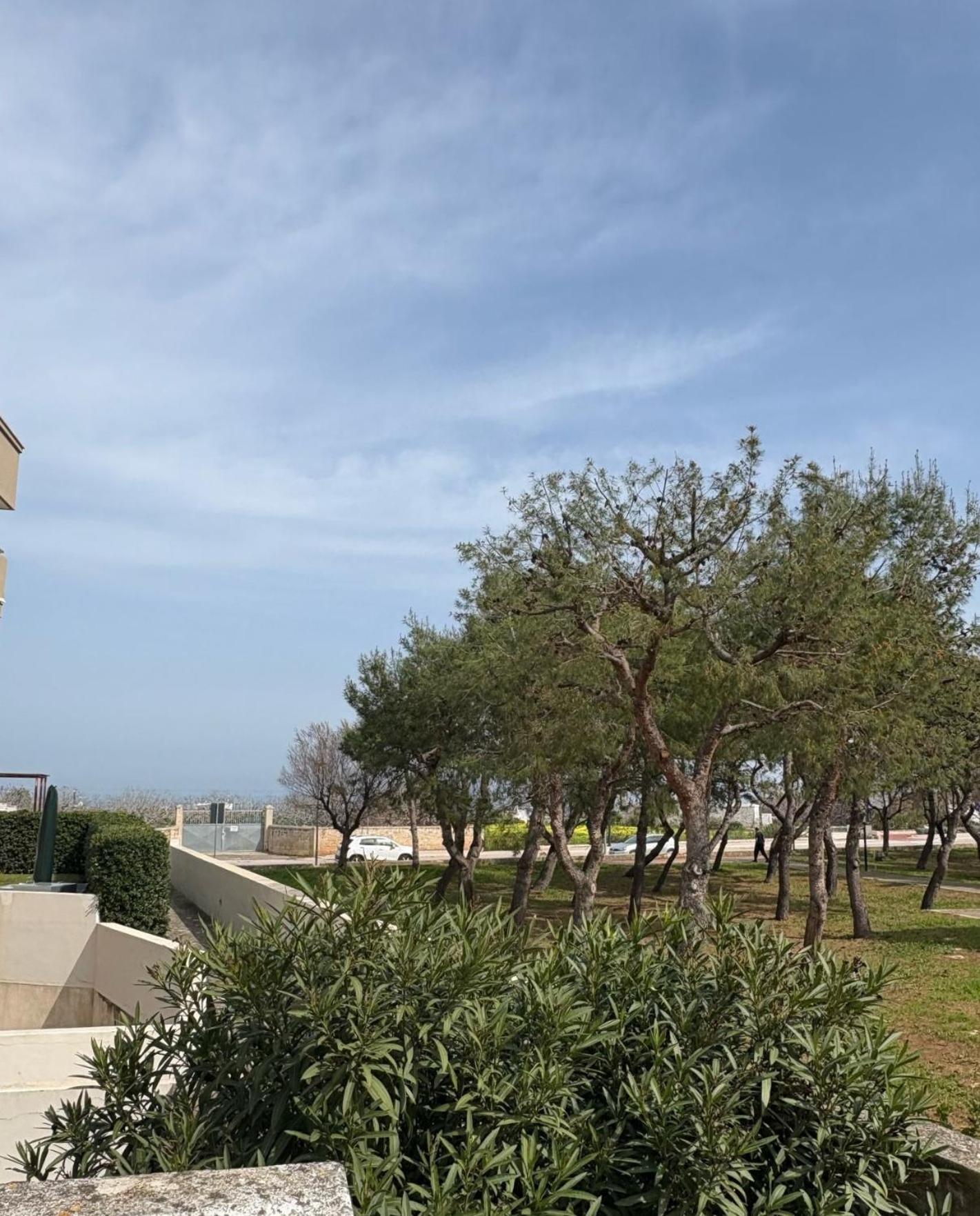 Venti Di Mare Hotel Monopoli Ngoại thất bức ảnh